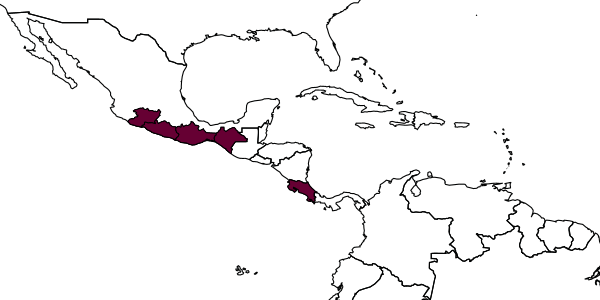 map of Omphale petatlana     Hansson, 1997